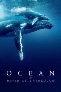 Ocean with David Attenborough Ocean with David Attenborough